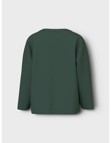 NMMVICTOR LS NREG TOP