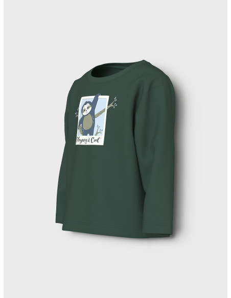 NMMVICTOR LS NREG TOP